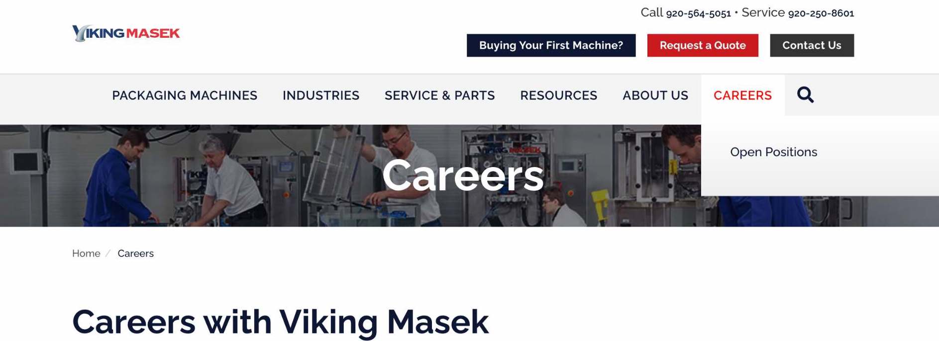 Viking Masek Career Page.jpg
