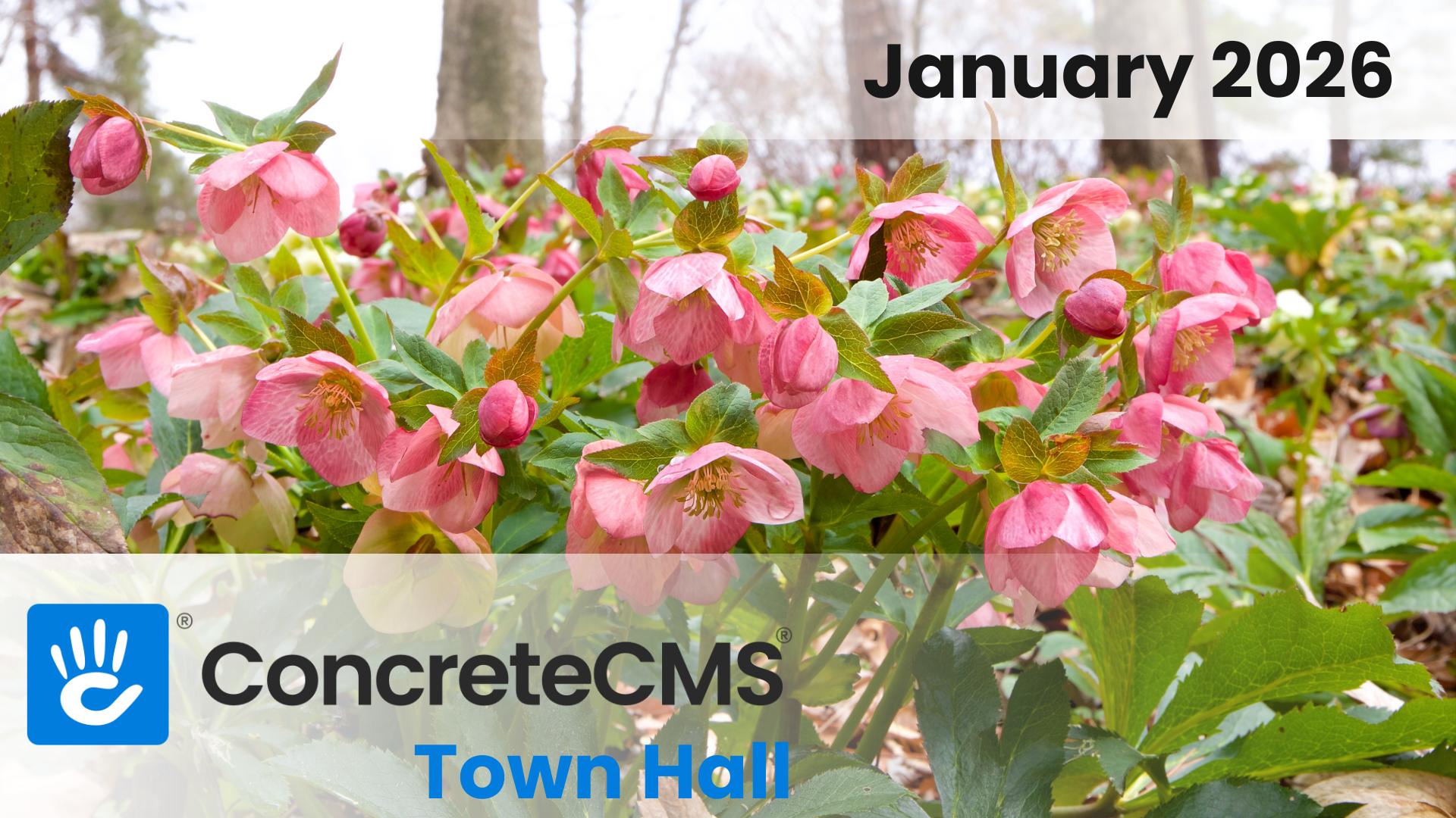 January 2026 Monthly Round Up and Town Hall